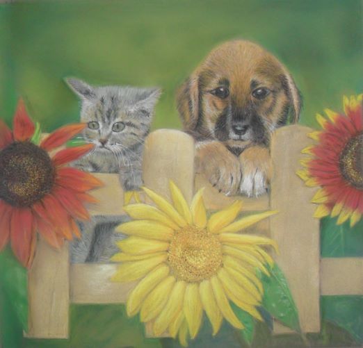 hond en kat bij hek