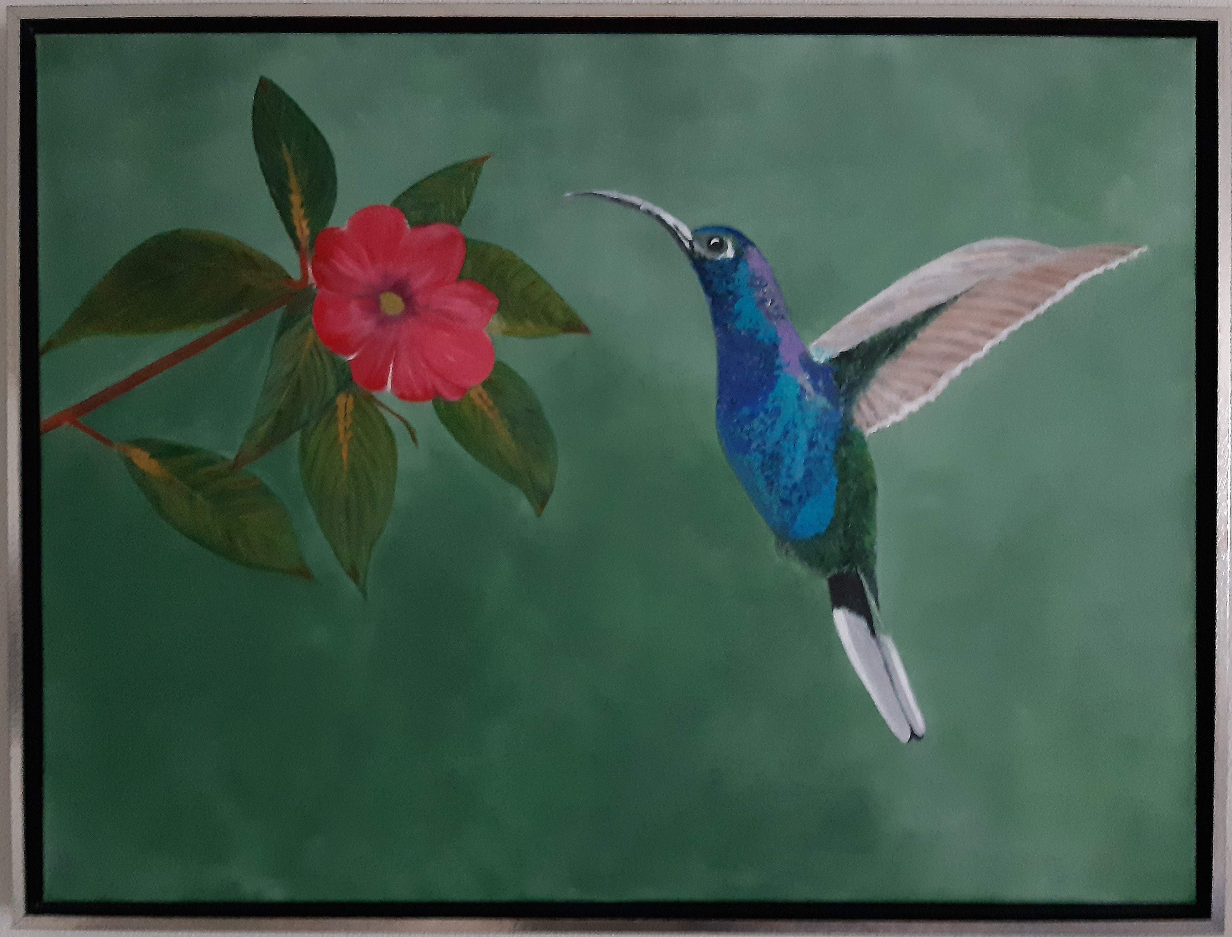 kolibri